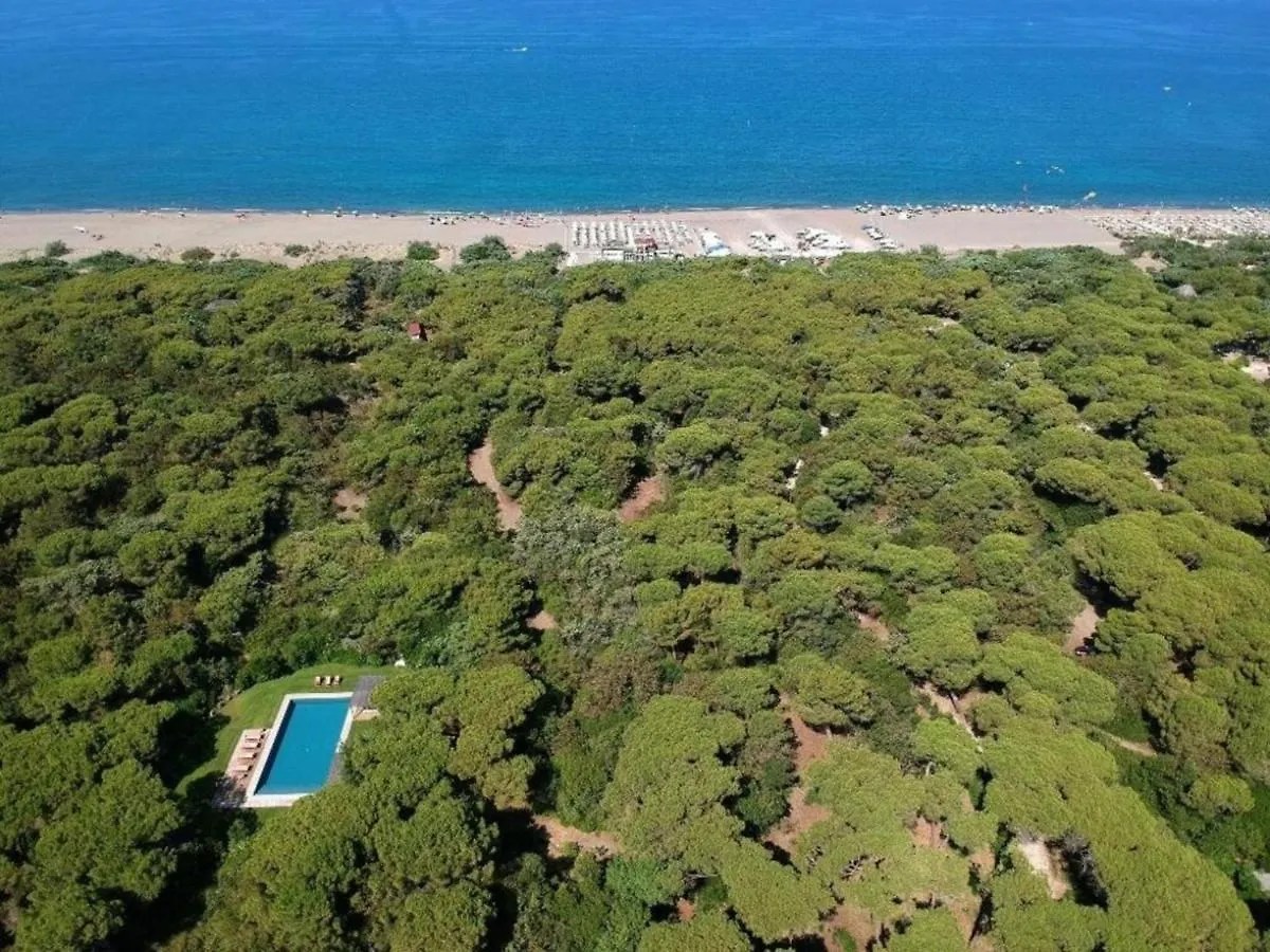Beach Front Bibbona Marina Di Bibbona Villa