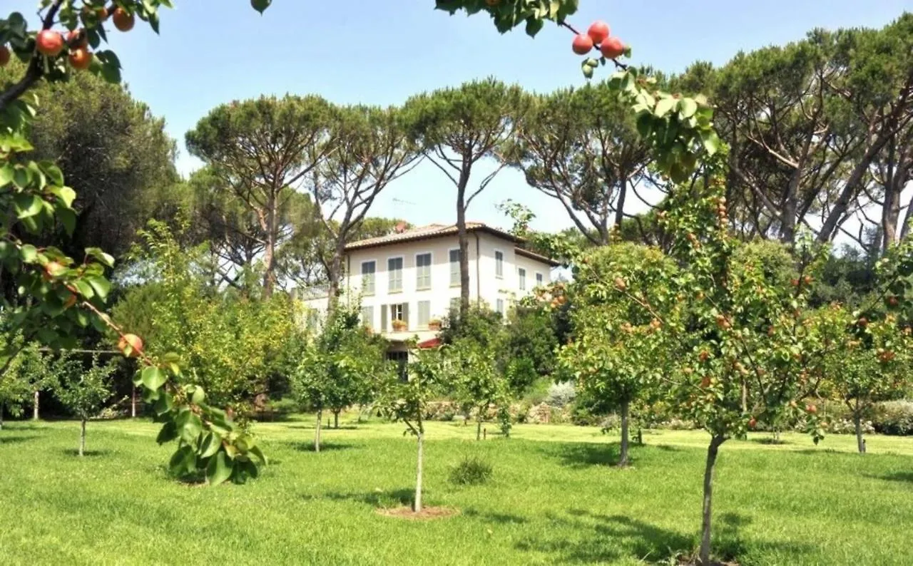 Beach Front Bibbona Marina Di Bibbona Villa